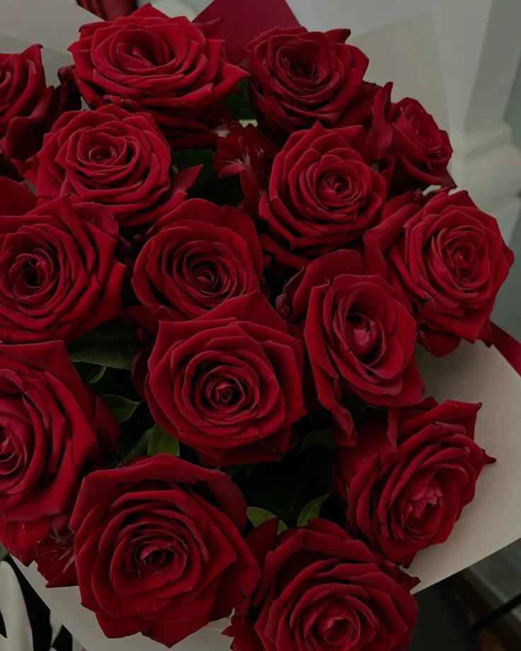 Eternal Symphony of Blushing Blooms